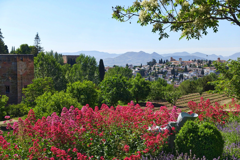 Granada: Alhambra versnelde rondleidingRondleiding in het Engels Premium