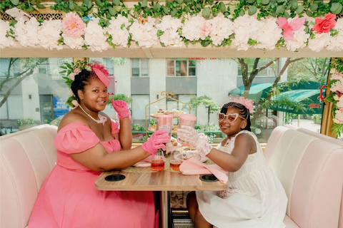 Chicago: Tea Around Town With Curated Teas & Iconic Sights Petite Admission