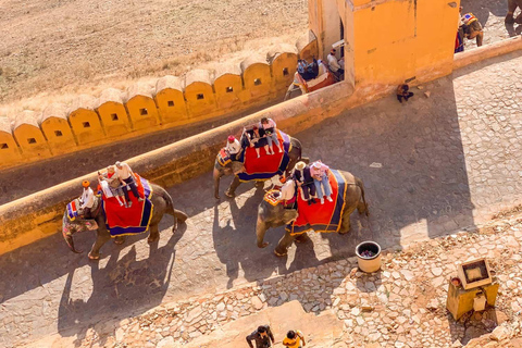 Jaipur: Privat Jaipur heldagstur med guide