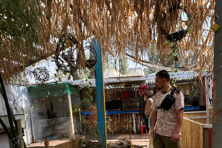 Xochimilco: Sanctuary of the Ajolote Axolotl