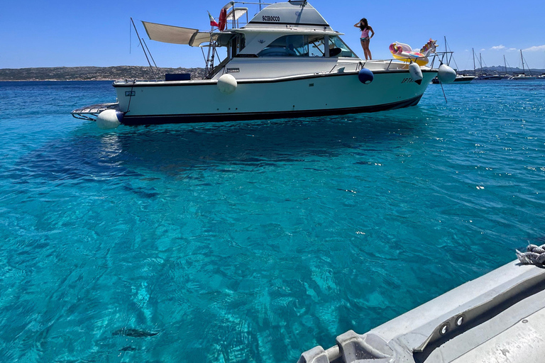 From S. Teresa Gallura: Speedboat Tour with Lunch between Lavezzi and Isola Piana