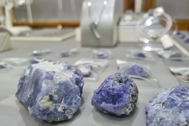 زنجبار: تذكرة دخول متحف التنزانيت ومتجر المجوهراتجولة مع نقطة الالتقاء في مبنى الحصن القديم