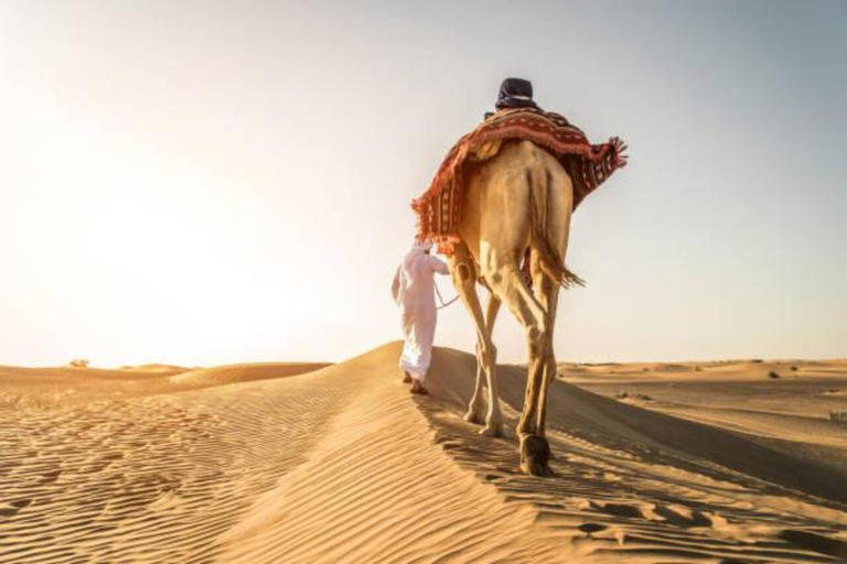 Doha: Safari nel deserto con sandboarding e giro in cammello