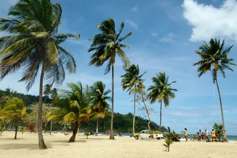 Maracas: Day Trip to Maracas Beach from Port of Spain