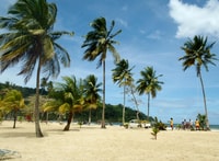 Maracas, gita di un giorno a Maracas Beach da Port of Spagna - Housity