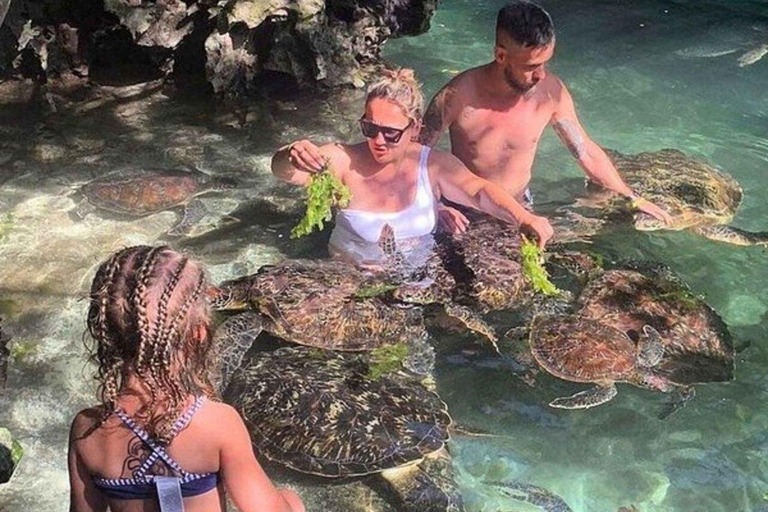 Mnemba Dolphin tour and sea turtles sanctuary with fruits Guided tour in without transfer