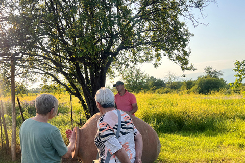تبليسي: رحلة ليوم واحد إلى كاخيتي مع غداء عائلي وتذوق النبيذ