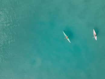 Noosa River: Mangroven und Herrenhäuser Geführte Kajaktour