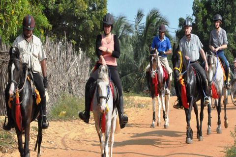 Udaipur: esperienza serale a cavallo nella campagna
