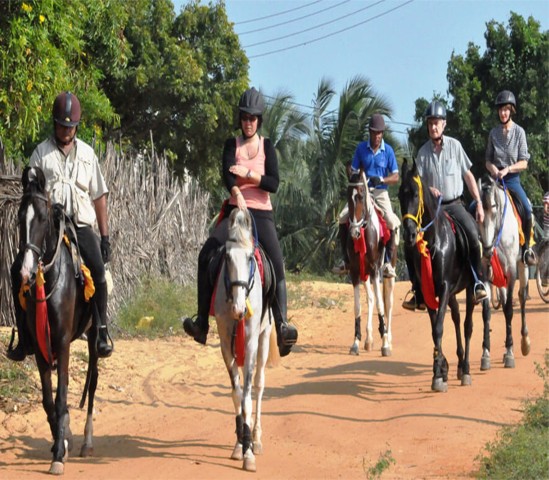 Visit Udaipur Evening Horse Riding Experience in the Countryside in Udaipur