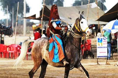 Udaipur: avond paardrijden ervaring op het platteland