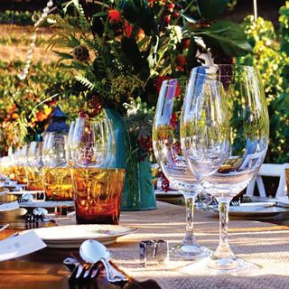 San Gimignano: Romantic Vineyard Dinner Experience