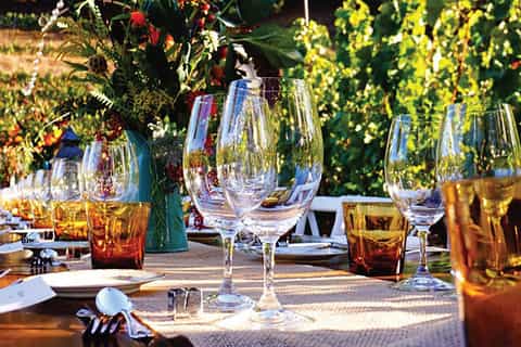 San Gimignano: Romantic Vineyard Dinner Experience