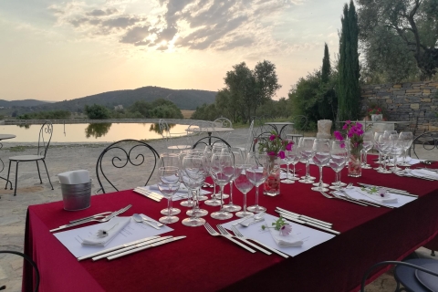 Bodrum Viñedo Tour con cena y maridaje de vinos