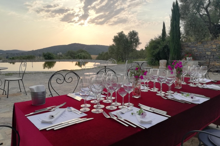 Bodrum Vineyard Tour with Dinner and Wine Pairing