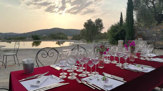 bodrum vineyard tour with dinner and wine pairing