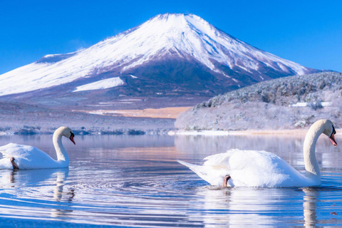 Mt Fuji Private Luxury Full-Day Tour with customization