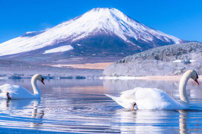 Mt Fuji Private Luxury Full-Day Tour with customization
