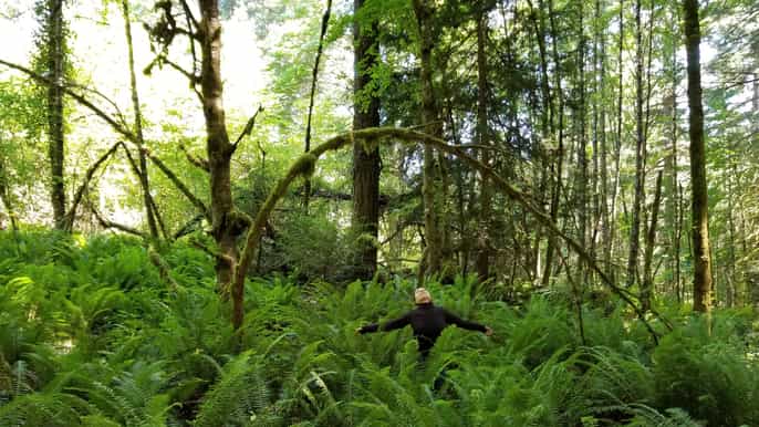 victoria guided nature walking tour in francis king park