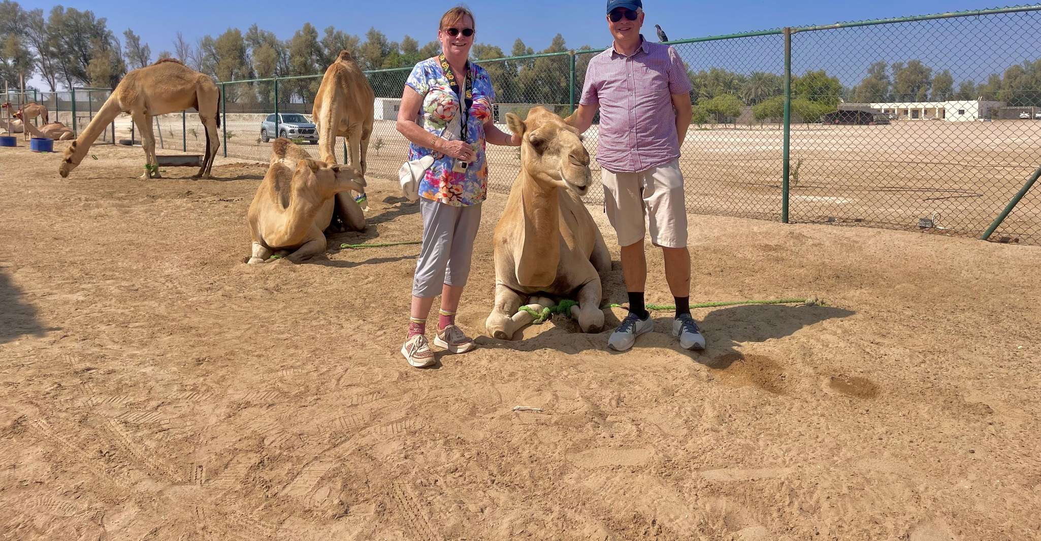 Manama: Tour from the South to the North of Bahrain photo 9