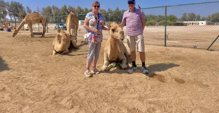 Manama: Tour from the South to the North of Bahrain photo 9