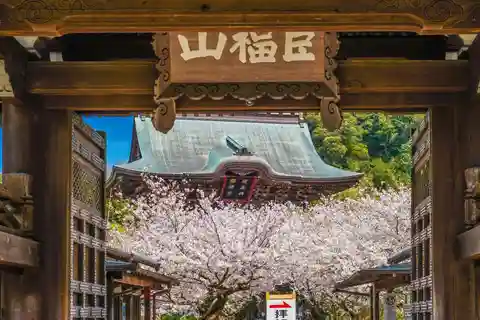 Kamakura: A Journey Through Medieval Japan (Walking Tour)