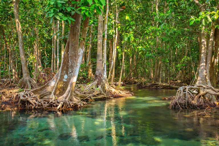 Visite privée de la forêt de mangroves de Vam Sat au départ d'Ho Chi Minh-Ville