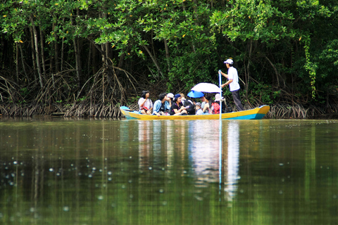 Visite privée de la forêt de mangroves de Vam Sat au départ d'Ho Chi Minh-Ville