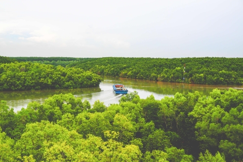 Ab Ho-Chi-Minh-Stadt: Privattour im Mangrovenwald Vam Sat