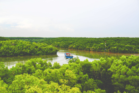 Visite privée de la forêt de mangroves de Vam Sat au départ d'Ho Chi Minh-Ville