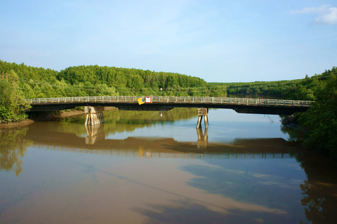 Ab Ho-Chi-Minh-Stadt: Privattour im Mangrovenwald Vam Sat