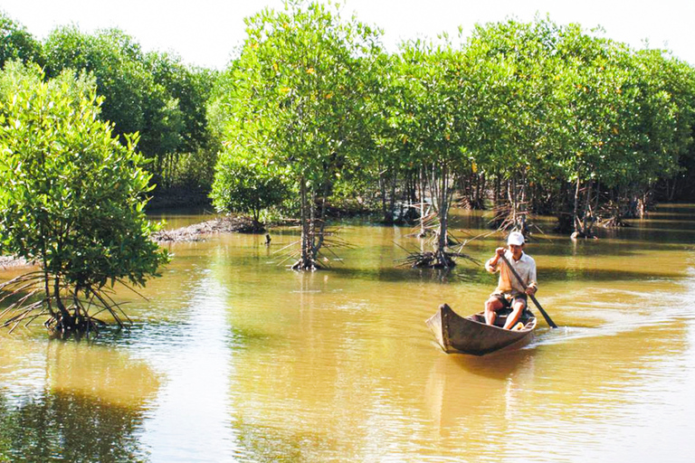 Visite privée de la forêt de mangroves de Vam Sat au départ d'Ho Chi Minh-Ville