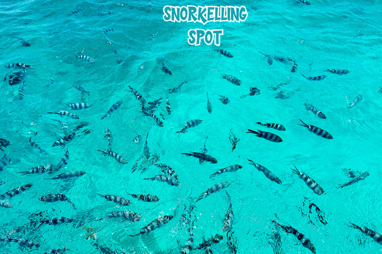 Île Maurice : excursion en hors-bord vers les 3 îles du Nord avec barbecue