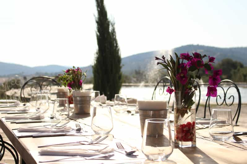 Bodrum Vineyard Tour with Dinner and Wine Pairing | GetYourGuide