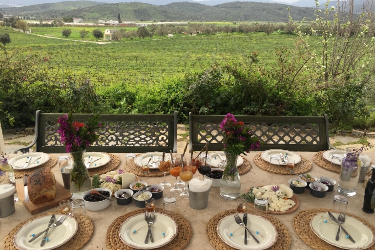 Bodrum Viñedo Tour con cena y maridaje de vinos