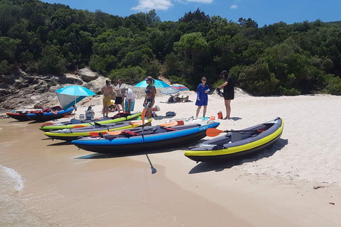 Lisboa: Tour de un día en kayak con picnic y traslado