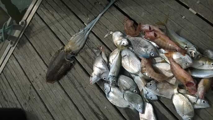 lagos family fishing trip