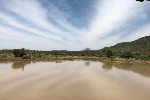 Johannesburg: Pilanesberg National Park Safari with Lunch Open and Closed Vehicle Safari with Lunch