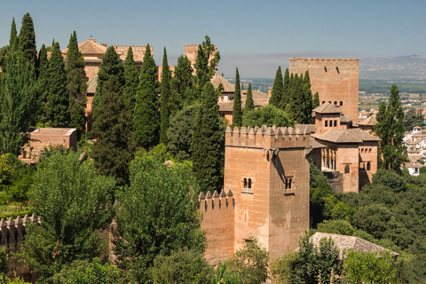 Privétour door het hele complex van Alhambra met ticketPrivétour in het hele complex van Alhambra