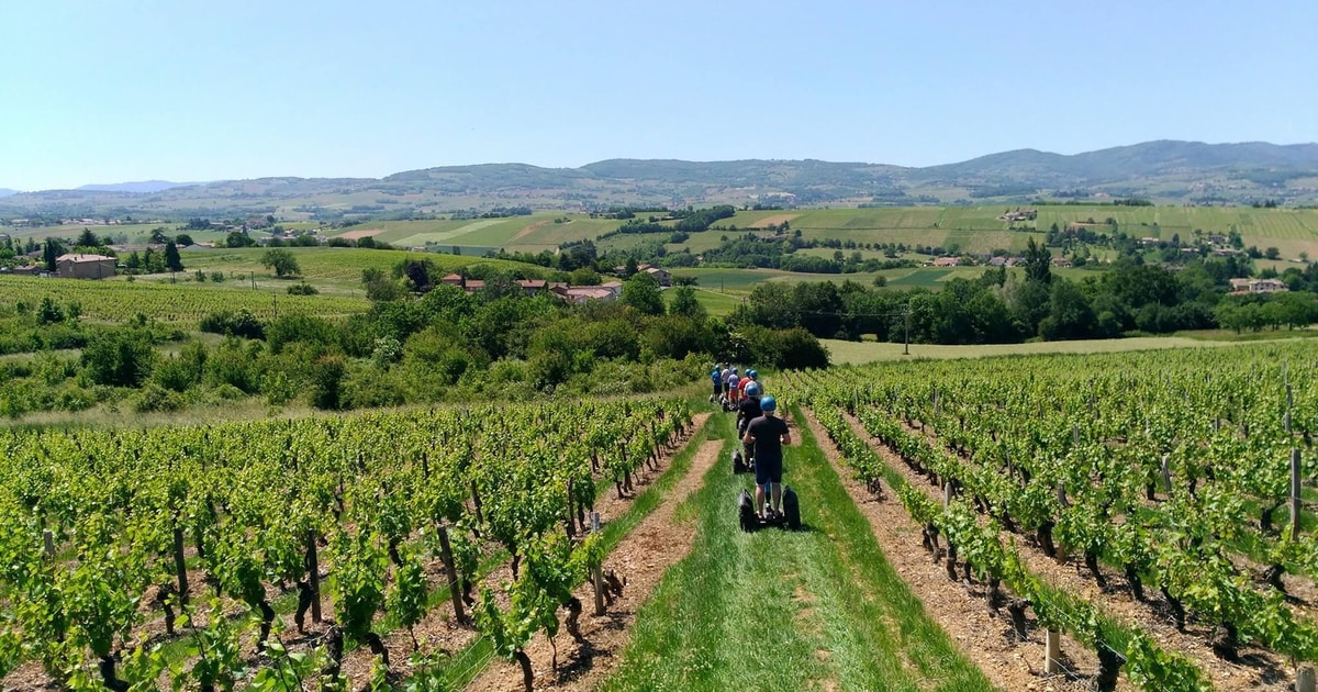 Beaujolais Segway Tour With Wine Tasting | GetYourGuide