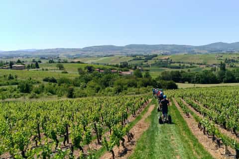 Beaujolais Segway Tour With Wine Tasting