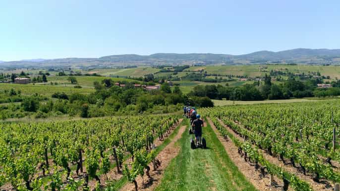 beaujolais segway tour with wine tasting