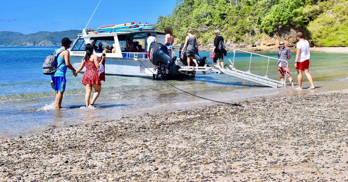 Bay of Islands 4,5stündige Tageskreuzfahrt und Inselrundfahrt