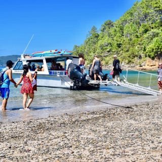Bay of Islands: 5-Hour Day Cruise and Island Getaway Tour