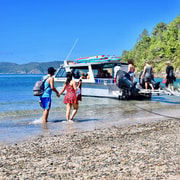 Bay of Islands: 4.5-Hour Day Cruise and Island Getaway Tour Bay of Islands: 4.5-Hour Day Cruise and Island Getaway Tour