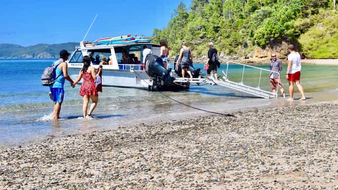 bay of islands 5hour day cruise and island getaway tour