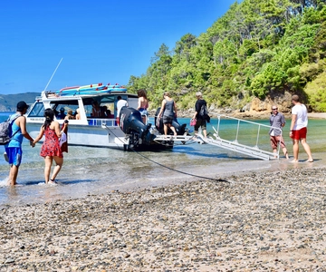 Bahía de las Islas: Excursión de 4,5 horas en Crucero de un Día y Escapada a las Islas