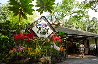 National Orchid Garden Singapur: Eintrittskarte