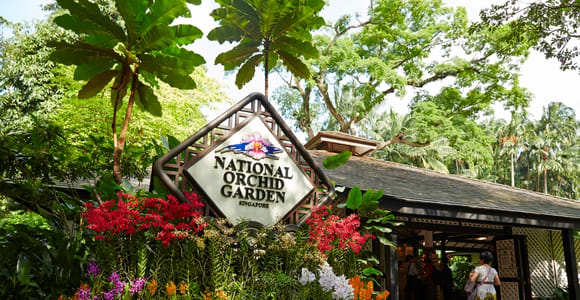 Singapore: National Orchid Garden Entry Ticket