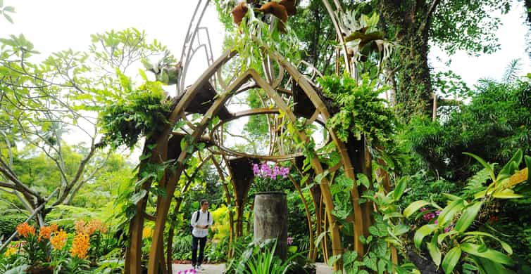 Singapore: National Orchid Garden Admission photo 2